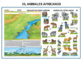 MAQUETA ANIMALES AFRICANOS