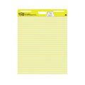 RULED EASEL PAD 25" X 30"