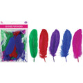 Goose Feathers | 3-5" | 12g | Mixed | Hot Colors