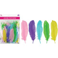 Goose Feathers | 3-5" | 12g | Mixed | Light Colors
