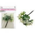 Succulent Bundle | 6 pc | Light Green