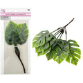 Monstera Leaf Bundle | 6pc