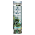 Scentscicles Scented Ornament Stick | Eucalyptus Oasis | 6CT Bottle