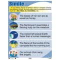 CARTEL SIMILE