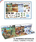 REGIONES NATURALES TAIGA, TUNDRA POLAR