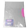 REPORT COVER SWING CLIP