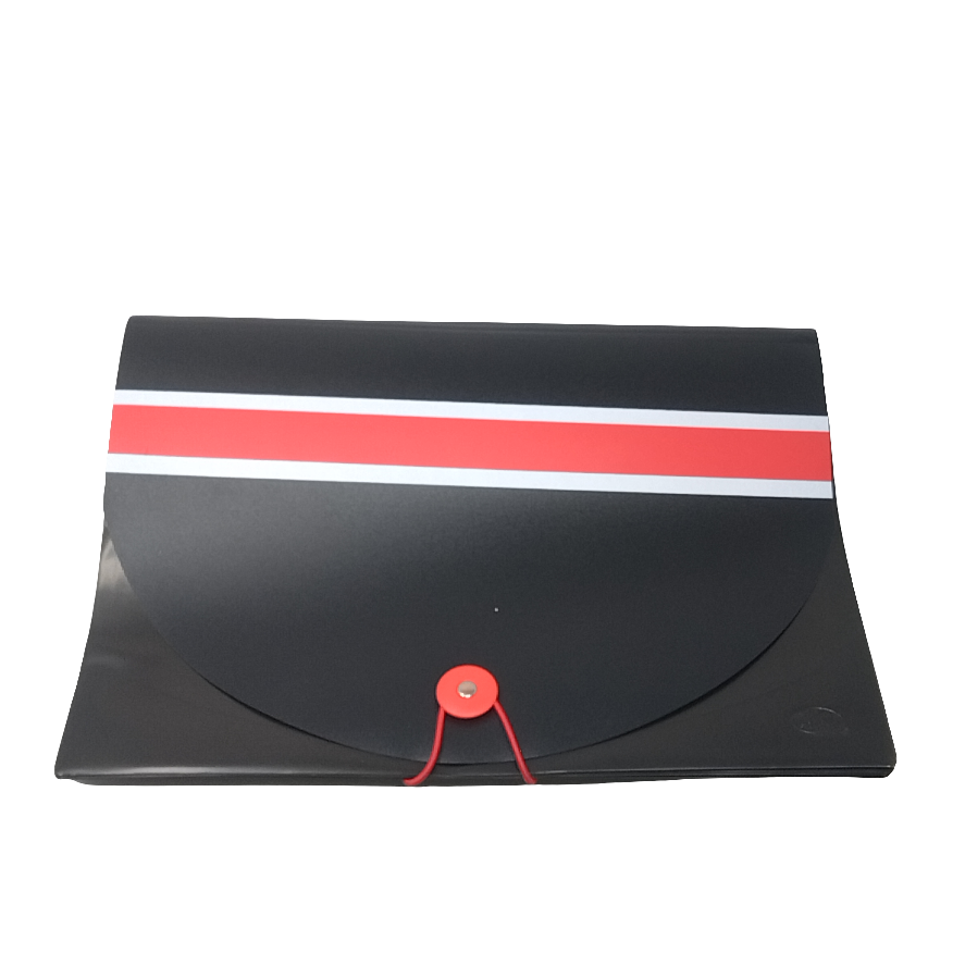 HANGING FOLDER LTR BLACK W\COLOR BORDER