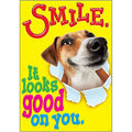 POSTER SMILE IT LOOKS