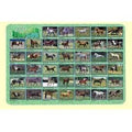 HORSES PLACEMAT 17.5''X12''