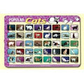 CATS PLACEMAT 17.5''X12''