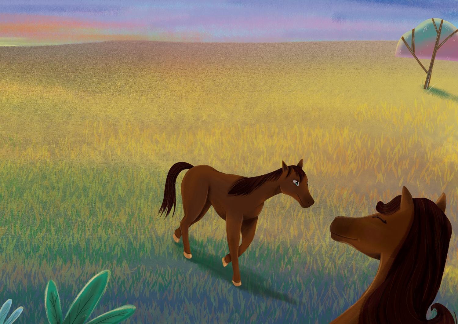 La cebra y el caballo | BBD