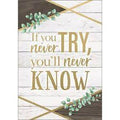 IF YOU NEVER TRY, YOU_x0092_LL NEVER POSTER