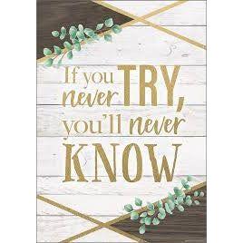 IF YOU NEVER TRY, YOU_x0092_LL NEVER POSTER