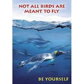 POSTER NOT ALL BIRDS ARE