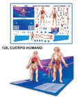 MODELO MAQUETA CUERPO HUMANO