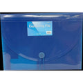 EXP FILE LETTER PLASTIC CLEAR 13-POCKETS