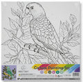 Canvas Paint Parrot Set | Includes 6 Color  1 Brush