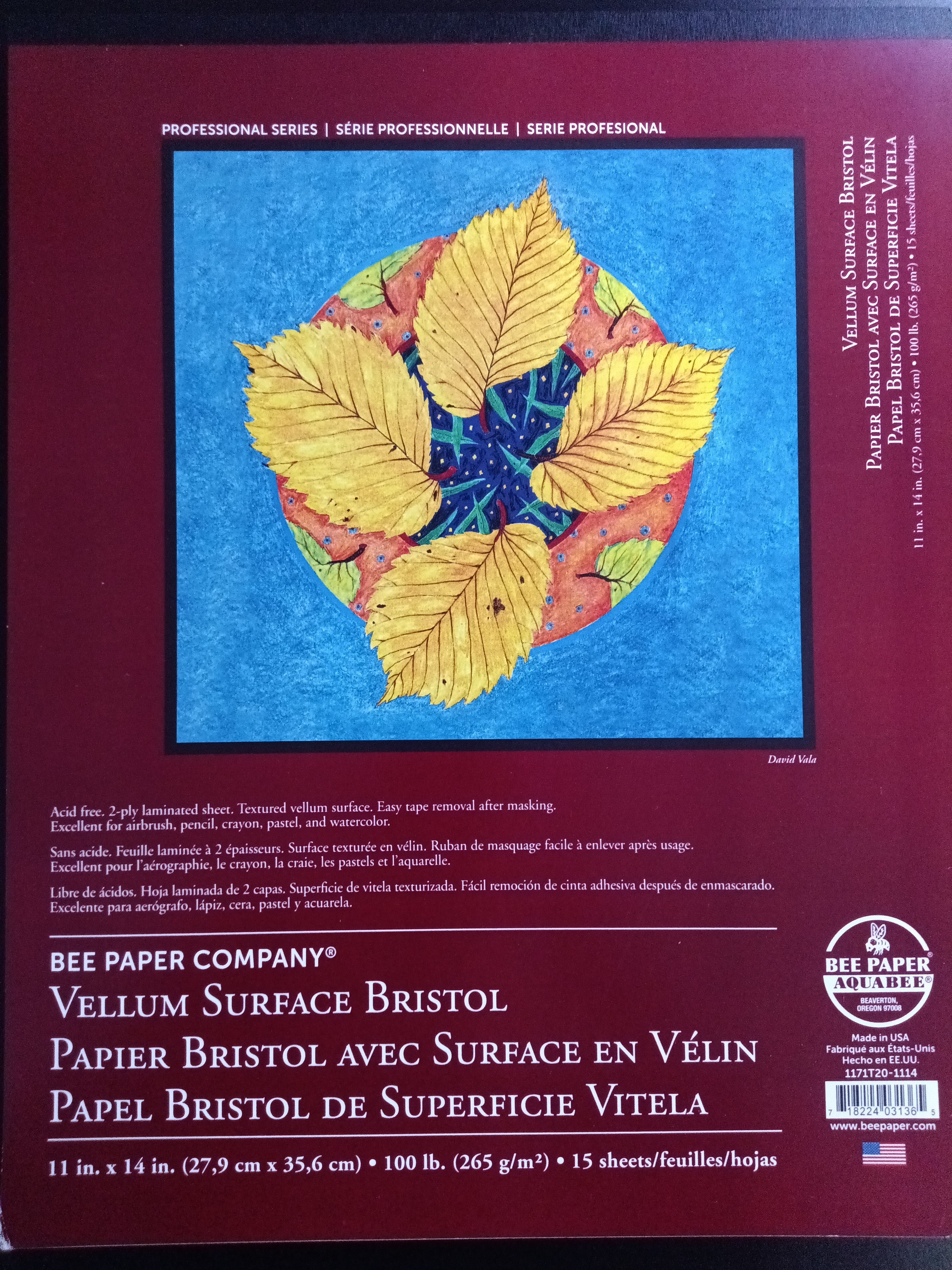 Bee Paper 11"x 14" Vellum Bristol Paper Pad 15 Sheets