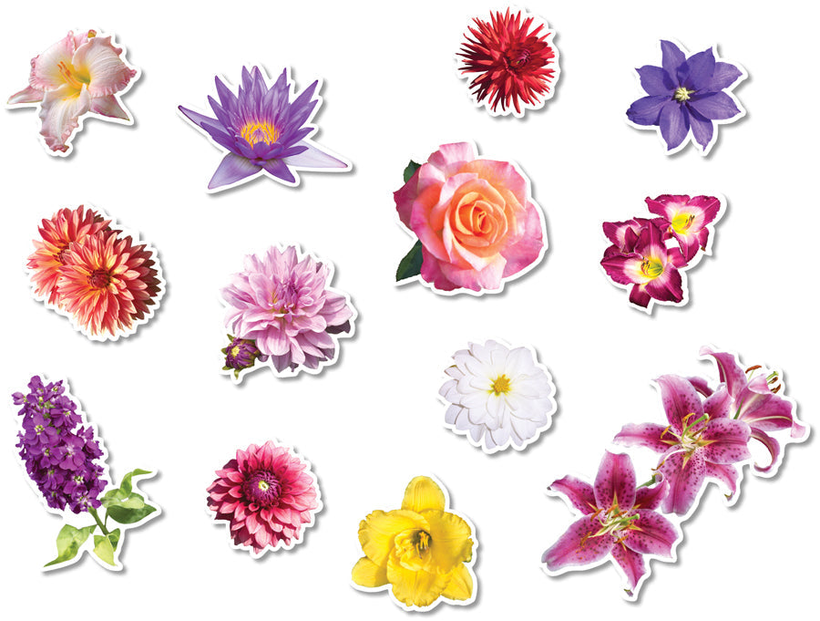 FLOWER GARDEN POP-OUT