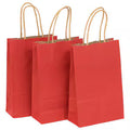 CRAFT BAG MEDIUM 19X10X25CM RED 3PC